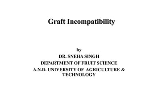 by
DR. SNEHA SINGH
DEPARTMENT OF FRUIT SCIENCE
A.N.D. UNIVERSITY OF AGRICULTURE &
TECHNOLOGY
 