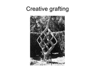Creative grafting 
