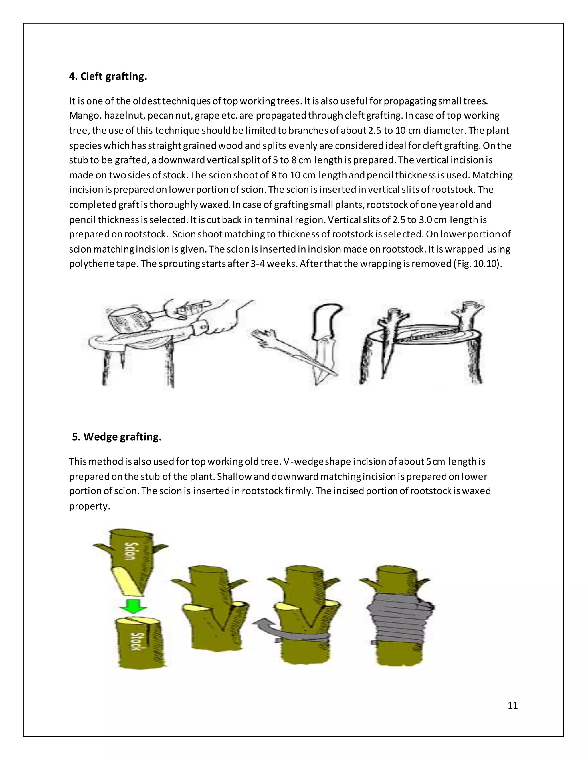 11
4. Cleft grafting.
It isone of the oldesttechniquesof topworkingtrees.Itisalsouseful forpropagatingsmall trees.
Mango, hazelnut,pecannut,grape etc.are propagatedthroughcleftgrafting.Incase of top working
tree,the use of this technique shouldbe limitedtobranchesof about2.5 to 10 cm diameter.The plant
specieswhichhasstraightgrainedwoodandsplits evenly are consideredideal forcleftgrafting.Onthe
stubto be grafted,adownwardvertical splitof 5 to 8 cm lengthisprepared.The vertical incisionis
made on twosidesof stock.The scionshootof 8 to 10 cm lengthandpencil thicknessisused.Matching
incisionispreparedonlowerportionof scion.The scionisinsertedinvertical slitsof rootstock.The
completedgraftisthoroughlywaxed.Incase of graftingsmall plants,rootstockof one yearoldand
pencil thicknessisselected.Itiscutback in terminal region.Vertical slitsof 2.5 to 3.0 cm lengthis
preparedonrootstock. Scionshootmatchingto thicknessof rootstockisselected.Onlowerportionof
scionmatchingincisionisgiven.The scionisinsertedinincisionmade onrootstock.Itiswrapped using
polythene tape.The sproutingstartsafter3-4 weeks.Afterthatthe wrappingisremoved(Fig.10.10).
5. Wedge grafting.
Thismethodisalsousedfor topworkingoldtree.V-wedgeshape incisionof about5cm lengthis
preparedonthe stub of the plant.Shallow anddownwardmatchingincisionispreparedonlower
portionof scion.The scionis insertedinrootstockfirmly.The incisedportionof rootstockiswaxed
property.
 