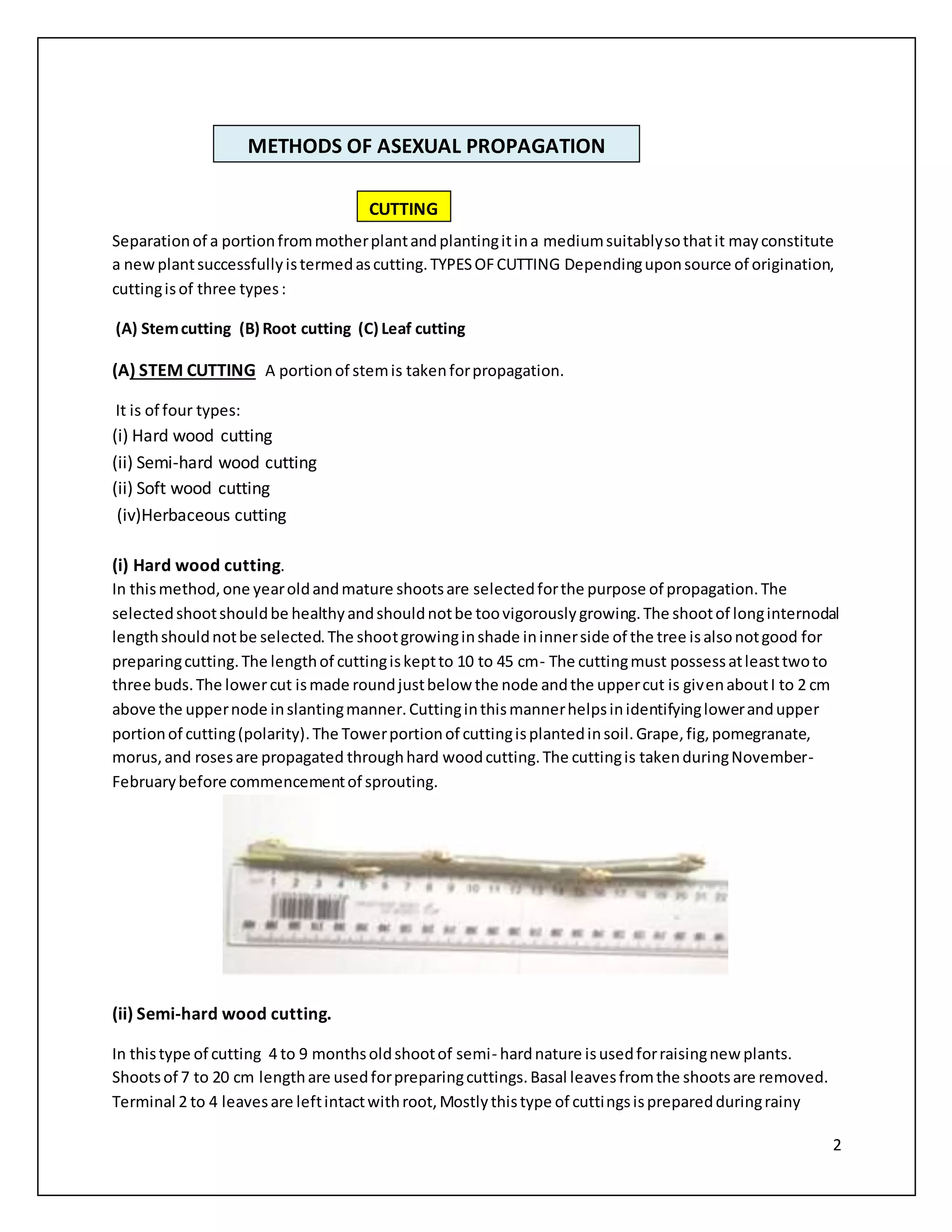 2
Separationof a portionfrommotherplantandplantingitina mediumsuitablysothatit mayconstitute
a newplantsuccessfullyistermedascutting.TYPESOFCUTTING Dependinguponsource of origination,
cuttingisof three types:
(A) Stemcutting (B) Root cutting (C) Leaf cutting
(A) STEM CUTTING A portionof stemis takenforpropagation.
It is of four types:
(i) Hard wood cutting
(ii) Semi-hard wood cutting
(ii) Soft wood cutting
(iv)Herbaceous cutting
(i) Hard wood cutting.
In thismethod,one yearoldandmature shootsare selectedforthe purpose of propagation.The
selectedshootshouldbe healthyandshouldnotbe toovigorouslygrowing.The shootof longinternodal
lengthshouldnotbe selected.The shootgrowinginshade ininnerside of the tree isalsonotgood for
preparingcutting.The lengthof cuttingiskeptto 10 to 45 cm- The cuttingmust possessatleasttwoto
three buds.The lowercut ismade roundjustbelow the node andthe uppercut is givenaboutI to 2 cm
above the uppernode inslantingmanner.Cuttinginthismannerhelpsinidentifyinglowerandupper
portionof cutting(polarity).The Towerportionof cuttingisplantedinsoil.Grape,fig,pomegranate,
morus,and rosesare propagated throughhard woodcutting.The cuttingis takenduringNovember-
Februarybefore commencementof sprouting.
(ii) Semi-hard wood cutting.
In thistype of cutting 4 to 9 monthsoldshootof semi- hardnature isusedforraisingnew plants.
Shootsof 7 to 20 cm lengthare usedforpreparingcuttings.Basal leavesfromthe shootsare removed.
Terminal 2 to 4 leavesare leftintactwithroot,Mostlythistype of cuttingsispreparedduringrainy
METHODS OF ASEXUAL PROPAGATION
CUTTING
 