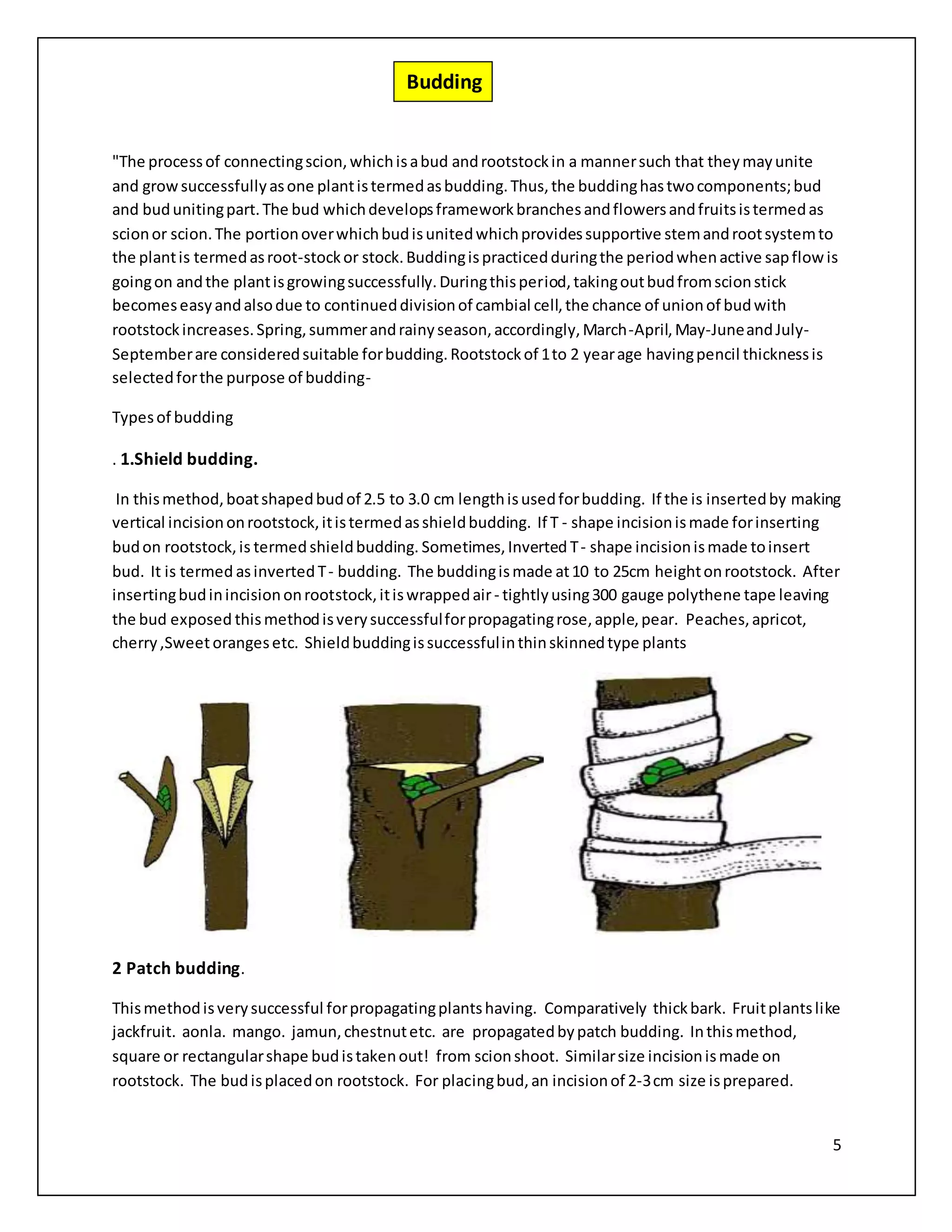 5
"The processof connectingscion,whichisabud androotstockin a mannersuch that theymayunite
and growsuccessfullyasone plantistermedasbudding.Thus,the buddinghastwocomponents;bud
and budunitingpart.The bud whichdevelopsframeworkbranchesandflowersandfruitsistermedas
scionor scion.The portionoverwhichbudisunitedwhichprovidessupportive stemandrootsystemto
the plantis termedasroot-stockor stock.Buddingispracticedduringthe periodwhenactive sapflowis
goingon andthe plantisgrowingsuccessfully.Duringthisperiod,takingoutbudfromscionstick
becomeseasyandalsodue to continueddivisionof cambial cell,the chance of unionof budwith
rootstockincreases.Spring,summerandrainyseason,accordingly,March-April,May-JuneandJuly-
Septemberare consideredsuitable forbudding.Rootstockof 1to 2 yearage havingpencil thicknessis
selectedforthe purpose of budding-
Typesof budding
. 1.Shield budding.
In thismethod,boatshapedbudof 2.5 to 3.0 cm lengthisusedforbudding. If the is insertedby making
vertical incisiononrootstock,itistermedasshieldbudding. If T - shape incisionismade forinserting
budon rootstock,is termedshieldbudding. Sometimes,Inverted T- shape incisionismade toinsert
bud. It is termed asinverted T- budding. The buddingismade at10 to 25cm heightonrootstock. After
insertingbudinincisiononrootstock,itiswrappedair- tightlyusing300 gauge polythene tape leaving
the bud exposed thismethodisverysuccessfulforpropagatingrose,apple,pear. Peaches,apricot,
cherry,Sweetorangesetc. Shieldbuddingissuccessfulinthinskinnedtype plants
2 Patch budding.
Thismethodisverysuccessful forpropagatingplantshaving. Comparatively thickbark. Fruitplantslike
jackfruit. aonla. mango. jamun,chestnutetc. are propagatedbypatch budding. Inthismethod,
square or rectangularshape budistakenout! from scionshoot. Similarsize incisionismade on
rootstock. The budisplacedon rootstock. For placingbud,an incisionof 2-3cm size isprepared.
Budding
 