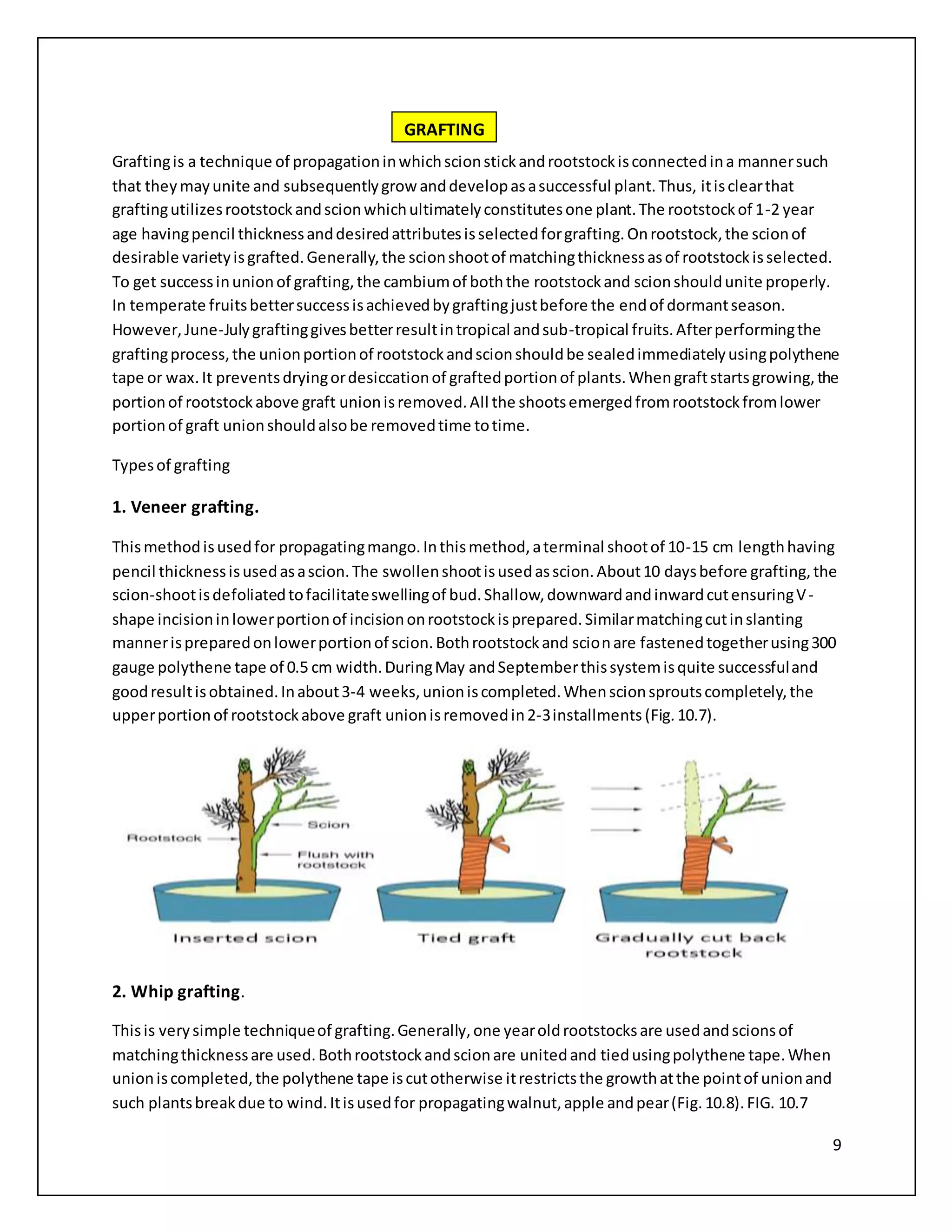 9
Graftingis a technique of propagationinwhichscionstickandrootstockisconnectedina mannersuch
that theymayunite and subsequentlygrow anddevelopasasuccessful plant.Thus, itisclearthat
graftingutilizesrootstockandscionwhichultimatelyconstitutesone plant.The rootstockof 1-2 year
age havingpencil thicknessanddesiredattributesisselectedforgrafting.Onrootstock,the scionof
desirable varietyisgrafted.Generally,the scionshootof matchingthicknessasof rootstockisselected.
To get successinunionof grafting,the cambiumof boththe rootstockand scionshouldunite properly.
In temperate fruitsbettersuccessisachievedbygraftingjustbefore the endof dormantseason.
However,June-Julygraftinggivesbetterresultintropical andsub-tropical fruits.Afterperformingthe
graftingprocess,the unionportionof rootstockandscionshouldbe sealedimmediatelyusingpolythene
tape or wax.It preventsdryingordesiccationof graftedportionof plants.Whengraftstartsgrowing,the
portionof rootstockabove graft unionisremoved.All the shootsemergedfromrootstockfromlower
portionof graft unionshouldalsobe removedtime totime.
Typesof grafting
1. Veneer grafting.
Thismethodisusedfor propagatingmango.Inthismethod,aterminal shootof 10-15 cm lengthhaving
pencil thicknessisusedasascion.The swollenshootisusedasscion.About10 daysbefore grafting,the
scion-shootisdefoliatedtofacilitateswellingof bud.Shallow,downwardandinwardcutensuringV-
shape incisioninlowerportionof incisiononrootstockisprepared.Similarmatchingcutinslanting
mannerispreparedonlowerportionof scion.Bothrootstockand scionare fastenedtogetherusing300
gauge polythene tape of 0.5 cm width.DuringMay andSeptemberthissystemisquite successfuland
goodresultisobtained.Inabout3-4 weeks,unioniscompleted.Whenscionsproutscompletely,the
upperportionof rootstockabove graft unionisremovedin2-3installments (Fig.10.7).
2. Whip grafting.
Thisis verysimple techniqueof grafting.Generally,one yearoldrootstocksare usedandscionsof
matchingthicknessare used.Bothrootstockandscionare unitedand tiedusingpolythene tape.When
unioniscompleted,the polythene tape iscutotherwise itrestrictsthe growthatthe pointof unionand
such plantsbreakdue to wind.Itisusedfor propagatingwalnut,apple andpear(Fig.10.8).FIG. 10.7
GRAFTING
 
