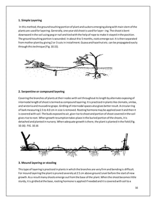 Compound Layering Method METHODS OF ASEXUAL PROPAGATION | DOCX