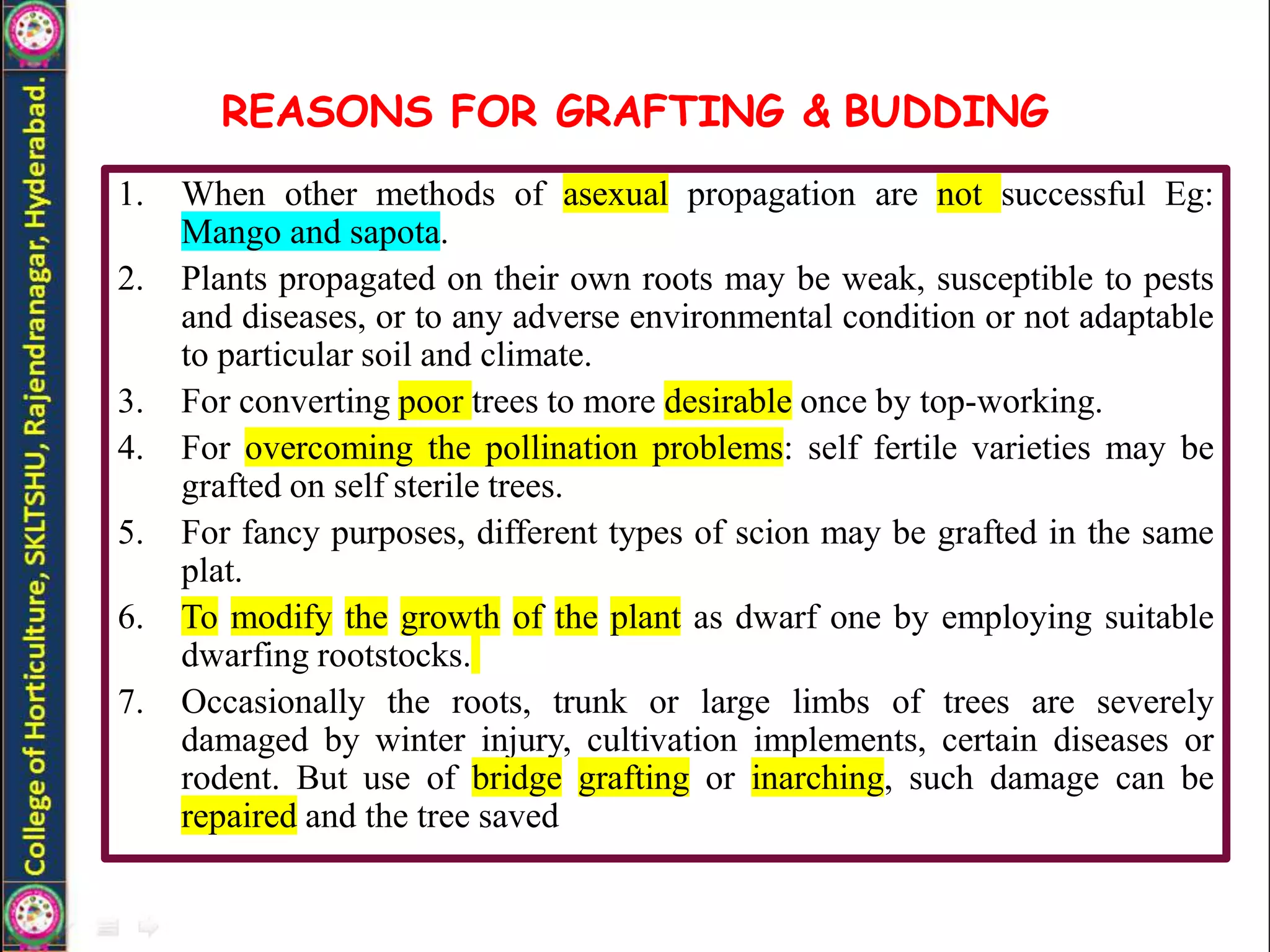 Grafting and its types in fruit crops | PPTX
