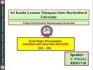Speaker:
Y. POOJA
RHM/17-28
Sri Konda Laxman Telangana State Horticultural
University
College Of Horticulture Rajendranagar, Hyderabad
Term Paper Presentation
BUDDING AND GRAFTING METHODS
FSC - 591
 