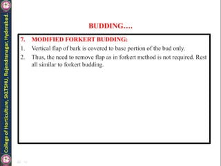 BUDDING….
7. MODIFIED FORKERT BUDDING:
1. Vertical flap of bark is covered to base portion of the bud only.
2. Thus, the need to remove flap as in forkert method is not required. Rest
all similar to forkert budding.
 