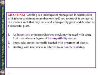 GRAFTING: Grafting is a technique of propagation in which scion
stick (shoot containing more than one bud) and rootstock is connected
in a manner such that they unite and subsequently grow and develop as
a successful plant.
1. An interstock or intermediate rootstock may be used with some
fruit trees where a degree of incompatibility occurs:
2. Interstocks are not normally needed with ornamental plants.
3. Grafting with interstocks is referred to as double working.
 