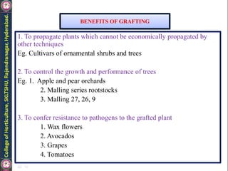 1. To propagate plants which cannot be economically propagated by
other techniques
Eg. Cultivars of ornamental shrubs and trees
2. To control the growth and performance of trees
Eg. 1. Apple and pear orchards
2. Malling series rootstocks
3. Malling 27, 26, 9
3. To confer resistance to pathogens to the grafted plant
1. Wax flowers
2. Avocados
3. Grapes
4. Tomatoes
BENEFITS OF GRAFTING
 