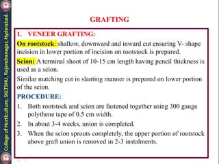 GRAFTING
1. VENEER GRAFTING:
On rootstock: shallow, downward and inward cut ensuring V- shape
incision in lower portion of incision on rootstock is prepared.
Scion: A terminal shoot of 10-15 cm length having pencil thickness is
used as a scion.
Similar matching cut in slanting manner is prepared on lower portion
of the scion.
PROCEDURE:
1. Both rootstock and scion are fastened together using 300 gauge
polythene tape of 0.5 cm width.
2. In about 3-4 weeks, union is completed.
3. When the scion sprouts completely, the upper portion of rootstock
above graft union is removed in 2-3 instalments.
 