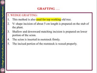 GRAFTING ….
5. WEDGE GRAFTING:
1. This method is also used for top working old tree.
2. V- shape incision of about 5 cm length is prepared on the stub of
the plant.
3. Shallow and downward matching incision is prepared on lower
portion of the scion.
4. The scion is inserted in rootstock firmly.
5. The incised portion of the rootstock is waxed properly.
 