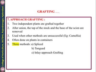 GRAFTING ….
7. APPROACH GRAFTING :
1. Two independent plants are grafted together
2. After union, the top of the stock and the base of the scion are
removed
3. Used when other methods are unsuccessful (Eg: Camellia)
4. Often done on plants in containers
5. Three methods: a) Spliced
b) Tongued
c) Inlay-approach Grafting
 