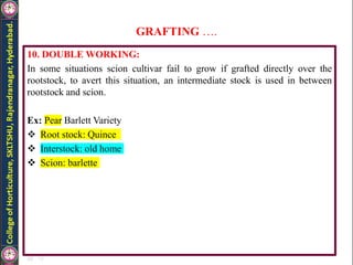 GRAFTING ….
10. DOUBLE WORKING:
In some situations scion cultivar fail to grow if grafted directly over the
rootstock, to avert this situation, an intermediate stock is used in between
rootstock and scion.
Ex: Pear Barlett Variety
 Root stock: Quince
 Interstock: old home
 Scion: barlette
 