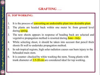 GRAFTING ….
11. TOP WORKING:
1. It is the process of converting an undesirable plant into desirable plant.
2. The plants are headed back within one meter ht. from ground level
during spring.
3. The new shoots appears in response of heading back are selected and
vegetative propagation method is resorted during June - July.
4. While selecting shoot, it should be taken into account that pencil thick
shoots fit well to undertake propagation method.
5. In sub tropical regions, high solar radiation causes sun burn injury to the
beheaded main stem.
6. It is counter- checked by white washing the stem. Young plants with
trunk diameter of 2.5-20 cm are considered ideal for top working.
 