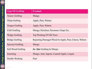 Type Of Grafting Example
Veneer Grafting Mango
Whip Grafting Apple, Pear, Walnut
Tongue Grafting Apple, Pear, Walnut
Cleft Grafting Mango, Hazelnut, Pecannut, Grape Etc.
Wedge Grafting Top Working Of Old Trees
Bridge Grafting Repairing Damaged Wood In Apple, Pear, Cherry, Walnut
Epicotyl Grafting Mango
Soft Wood Grafting In- Situ Grafting In Mango
Inarching Mango, Jack, Sapota, Custard Apple, Loquat
Double Working Pear
 
