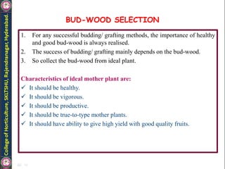 BUD-WOOD SELECTION
1. For any successful budding/ grafting methods, the importance of healthy
and good bud-wood is always realised.
2. The success of budding/ grafting mainly depends on the bud-wood.
3. So collect the bud-wood from ideal plant.
Characteristics of ideal mother plant are:
 It should be healthy.
 It should be vigorous.
 It should be productive.
 It should be true-to-type mother plants.
 It should have ability to give high yield with good quality fruits.
 