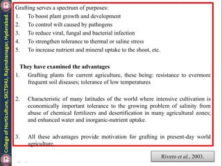 Grafting serves a spectrum of purposes:
1. To boost plant growth and development
2. To control wilt caused by pathogens
3. To reduce viral, fungal and bacterial infection
4. To strengthen tolerance to thermal or saline stress
5. To increase nutrient and mineral uptake to the shoot, etc.
They have examined the advantages
1. Grafting plants for current agriculture, these being: resistance to evermore
frequent soil diseases; tolerance of low temperatures
2. Characteristic of many latitudes of the world where intensive cultivation is
economically important tolerance to the growing problem of salinity from
abuse of chemical fertilizers and desertification in many agricultural zones;
and enhanced water and inorganic-nutrient uptake.
3. All these advantages provide motivation for grafting in present-day world
agriculture.
Rivero et al., 2003.
 