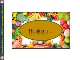 Grafting and its types in fruit crops