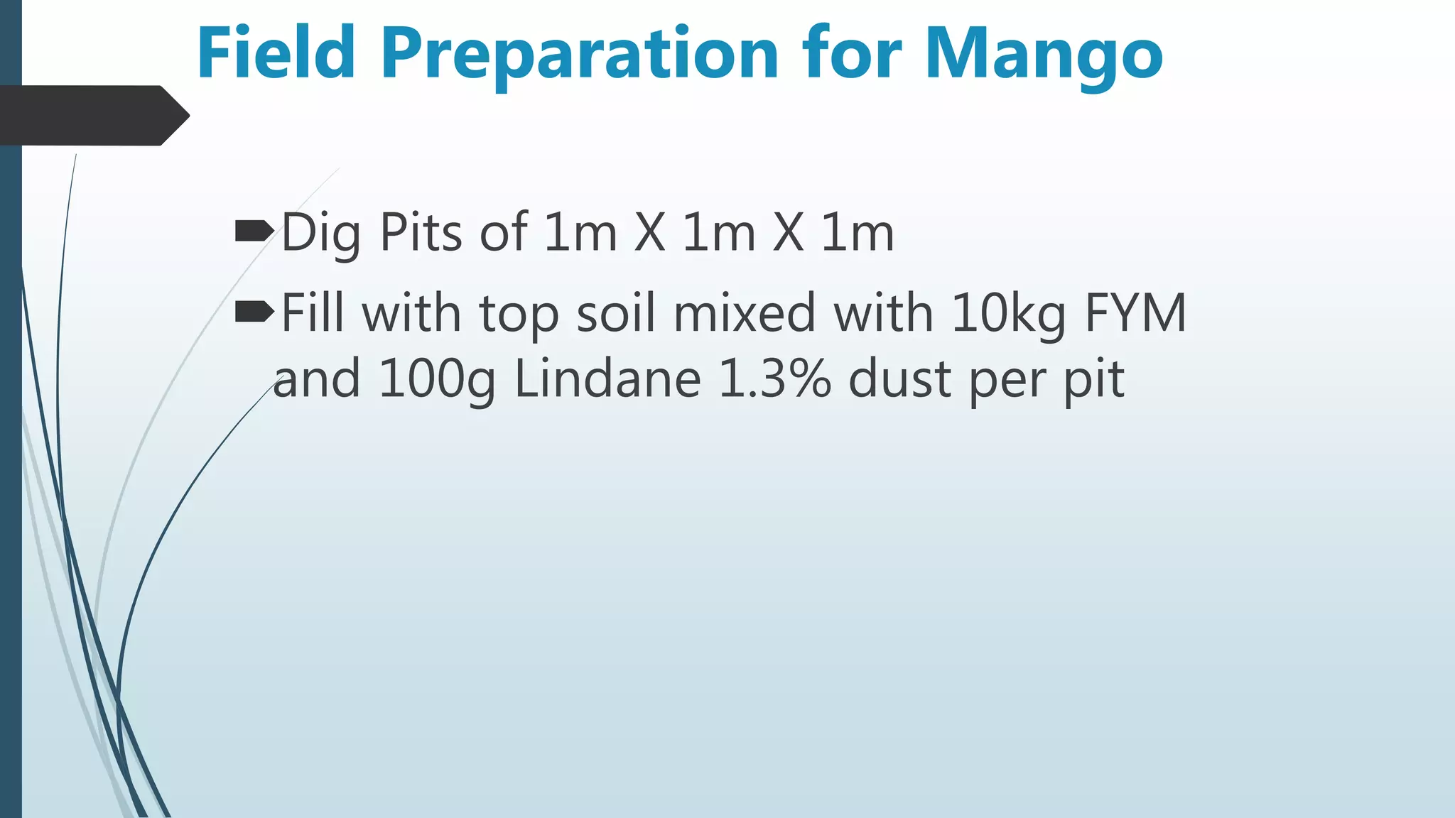 Field Preparation for Mango
Dig Pits of 1m X 1m X 1m
Fill with top soil mixed with 10kg FYM
and 100g Lindane 1.3% dust per pit
 