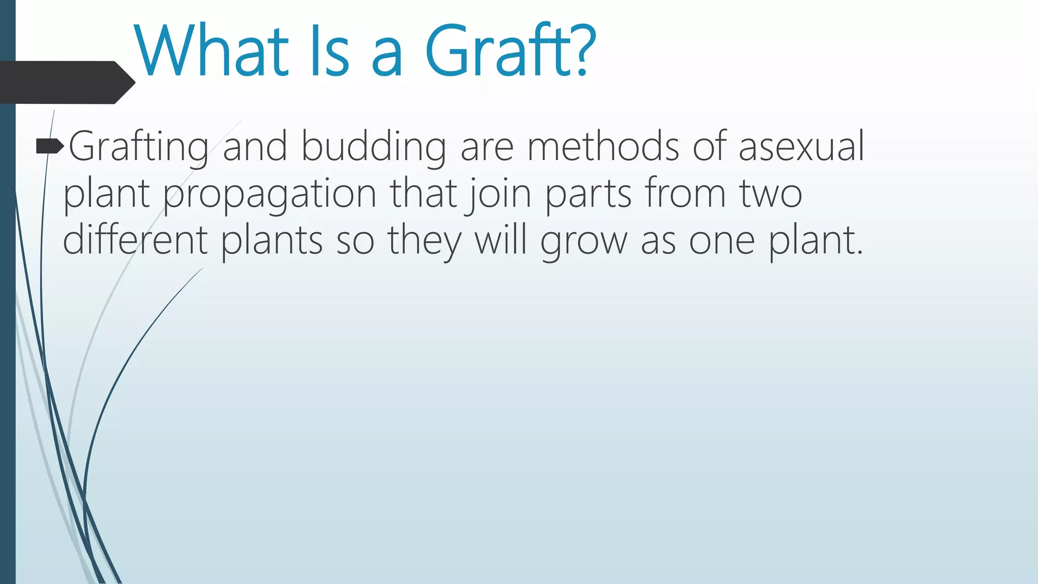 What Is a Graft?
Grafting and budding are methods of asexual
plant propagation that join parts from two
different plants so they will grow as one plant.
 