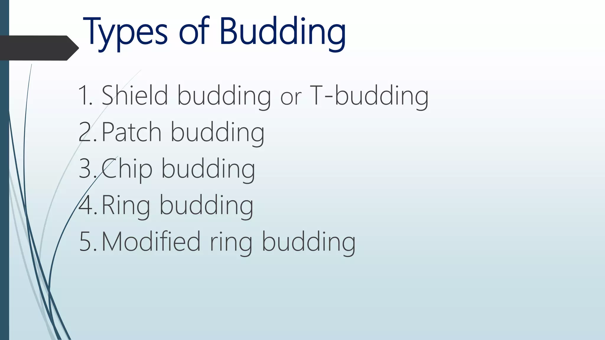 Types of Budding
1. Shield budding or T-budding
2.Patch budding
3.Chip budding
4.Ring budding
5.Modified ring budding
 