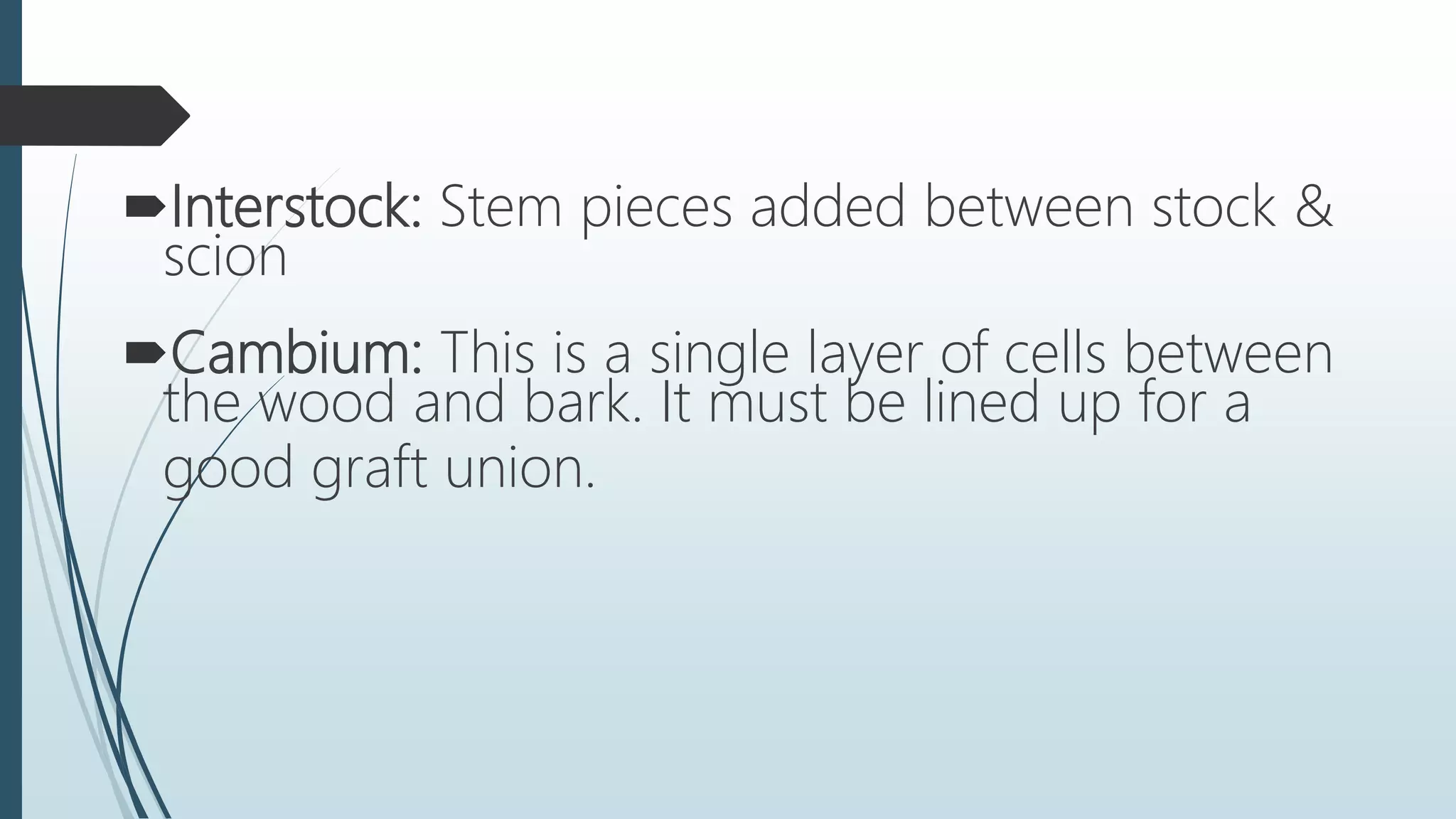 Interstock: Stem pieces added between stock &
scion
Cambium: This is a single layer of cells between
the wood and bark. It must be lined up for a
good graft union.
 