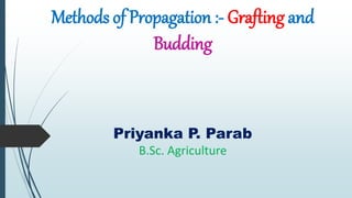 Priyanka P. Parab
B.Sc. Agriculture
Methods of Propagation :- Grafting and
Budding
 