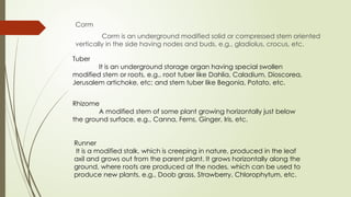 grafting and budding [Autosaved]....pptx
