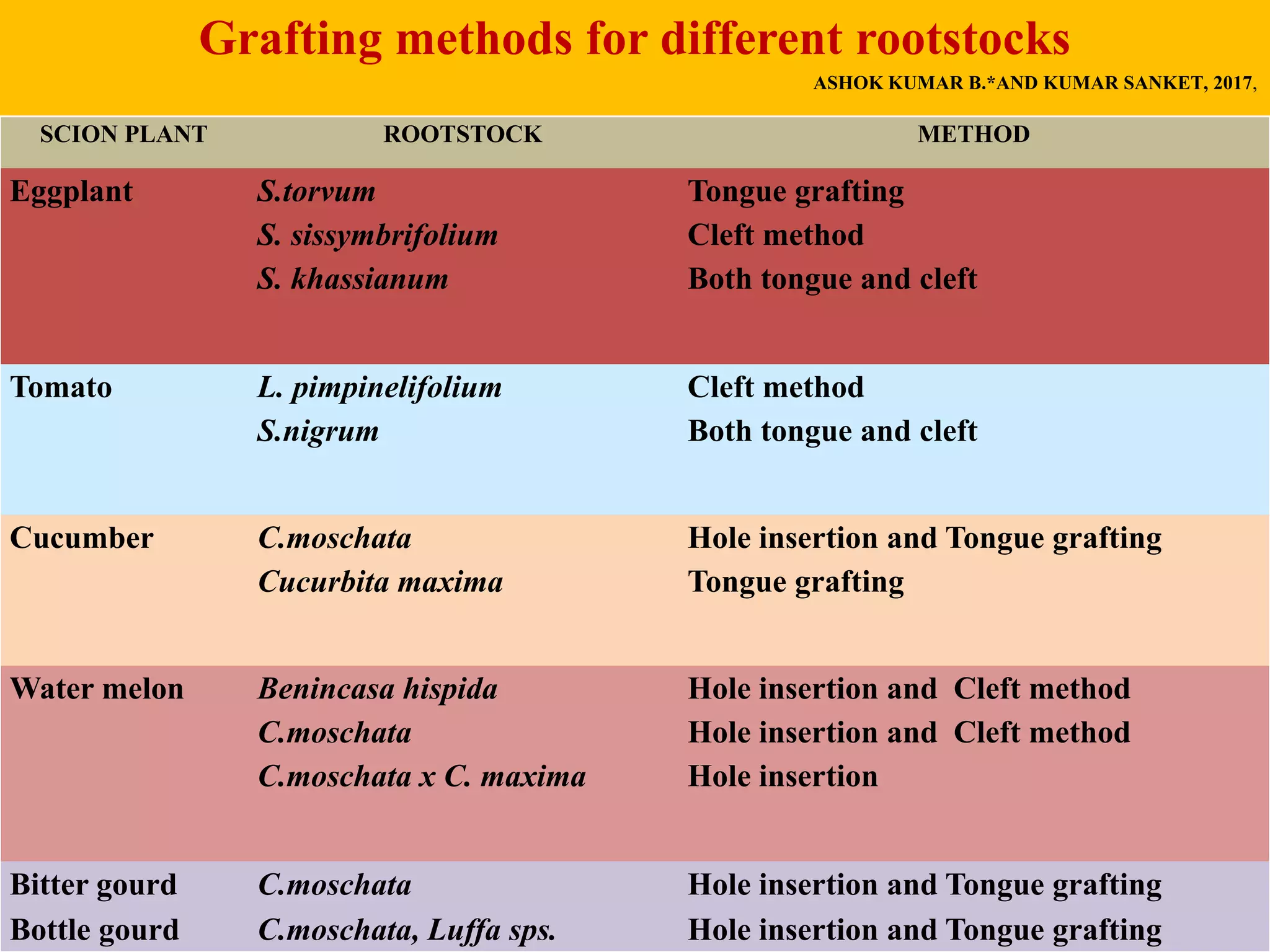 Grafting methods for different rootstocks
ASHOK KUMAR B.*AND KUMAR SANKET, 2017,
SCION PLANT ROOTSTOCK METHOD
Eggplant S.torvum
S. sissymbrifolium
S. khassianum
Tongue grafting
Cleft method
Both tongue and cleft
Tomato L. pimpinelifolium
S.nigrum
Cleft method
Both tongue and cleft
Cucumber C.moschata
Cucurbita maxima
Hole insertion and Tongue grafting
Tongue grafting
Water melon Benincasa hispida
C.moschata
C.moschata x C. maxima
Hole insertion and Cleft method
Hole insertion and Cleft method
Hole insertion
Bitter gourd C.moschata Hole insertion and Tongue grafting
Bottle gourd C.moschata, Luffa sps. Hole insertion and Tongue grafting
 