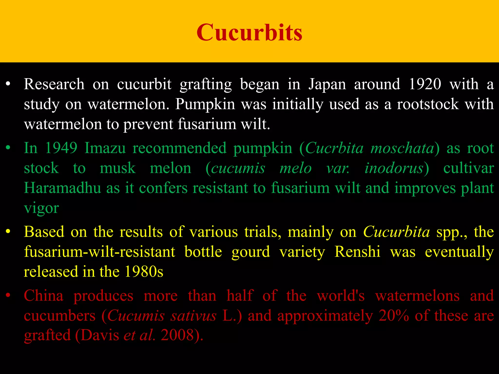 Cucurbits
• Research on cucurbit grafting began in Japan around 1920 with a
study on watermelon. Pumpkin was initially used as a rootstock with
watermelon to prevent fusarium wilt.
• In 1949 Imazu recommended pumpkin (Cucrbita moschata) as root
stock to musk melon (cucumis melo var. inodorus) cultivar
Haramadhu as it confers resistant to fusarium wilt and improves plant
vigor
• Based on the results of various trials, mainly on Cucurbita spp., the
fusarium-wilt-resistant bottle gourd variety Renshi was eventually
released in the 1980s
• China produces more than half of the world's watermelons and
cucumbers (Cucumis sativus L.) and approximately 20% of these are
grafted (Davis et al. 2008).
 