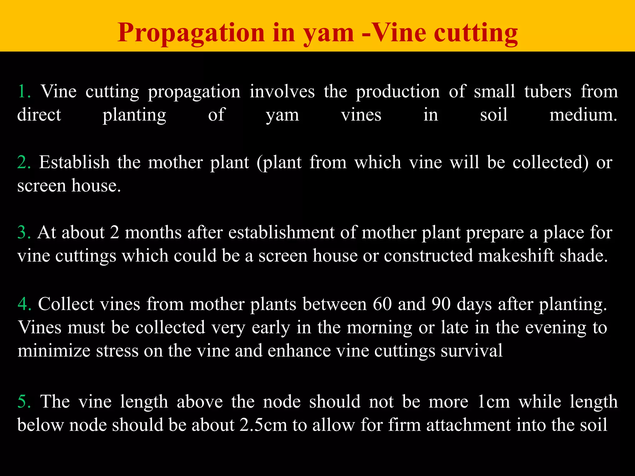 1. Vine cutting propagation involves the production of small tubers from
direct planting of yam vines in soil medium.
2. Establish the mother plant (plant from which vine will be collected) or
screen house.
Propagation in yam -Vine cutting
3. At about 2 months after establishment of mother plant prepare a place for
vine cuttings which could be a screen house or constructed makeshift shade.
4. Collect vines from mother plants between 60 and 90 days after planting.
Vines must be collected very early in the morning or late in the evening to
minimize stress on the vine and enhance vine cuttings survival
5. The vine length above the node should not be more 1cm while length
below node should be about 2.5cm to allow for firm attachment into the soil
 