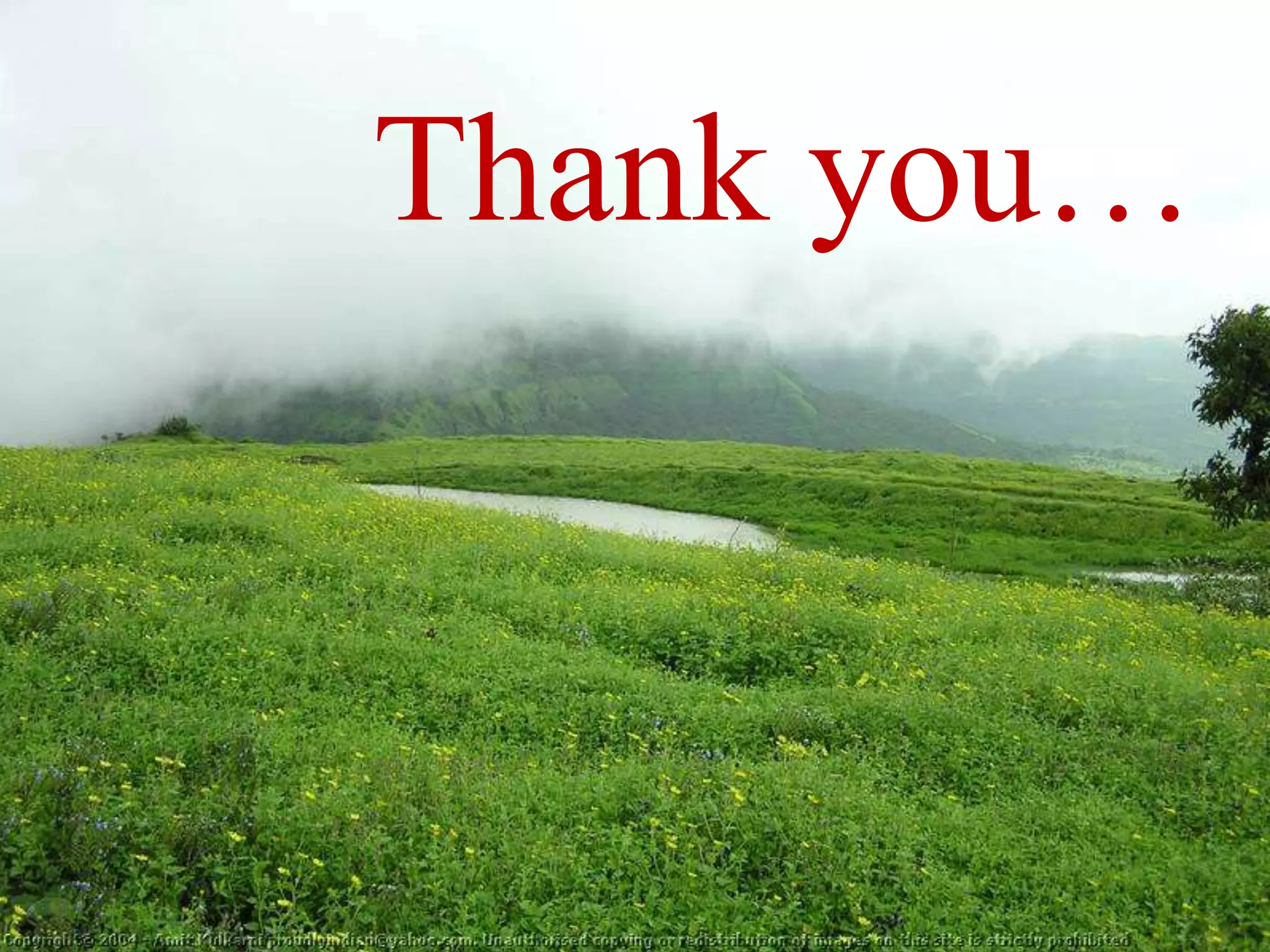 Thank you
Thank you…
 