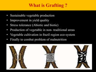 Grafting ppt | PPTX