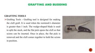 GRAFTING AND BUDDING
GRAFTING TOOLS
Grafting Tools - Grafting tool is designed for making
the cleft graft. It is used when the rootstock’s diameter
is greater than 1 inch. The wedge-shaped blade is used
to split the stock, and the flat pick opens the cleft so that
scions can be inserted. Once in place, the flat pick is
removed and the cleft comes together to hold the scions
in position.
 