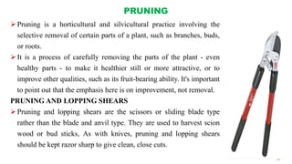 PRUNING
Pruning is a horticultural and silvicultural practice involving the
selective removal of certain parts of a plant, such as branches, buds,
or roots.
It is a process of carefully removing the parts of the plant - even
healthy parts - to make it healthier still or more attractive, or to
improve other qualities, such as its fruit-bearing ability. It's important
to point out that the emphasis here is on improvement, not removal.
PRUNING AND LOPPING SHEARS
Pruning and lopping shears are the scissors or sliding blade type
rather than the blade and anvil type. They are used to harvest scion
wood or bud sticks, As with knives, pruning and lopping shears
should be kept razor sharp to give clean, close cuts.
 