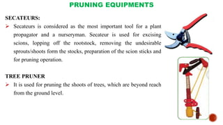 PRUNING EQUIPMENTS
SECATEURS:
 Secateurs is considered as the most important tool for a plant
propagator and a nurseryman. Secateur is used for excising
scions, lopping off the rootstock, removing the undesirable
sprouts/shoots form the stocks, preparation of the scion sticks and
for pruning operation.
TREE PRUNER
 It is used for pruning the shoots of trees, which are beyond reach
from the ground level.
 