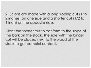 Two Inch Conform GRAFTING TECHNIQUES in asexual plant propagation.pptx