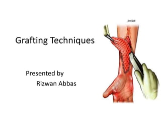 Grafting Techniques
Presented by
Rizwan Abbas
 