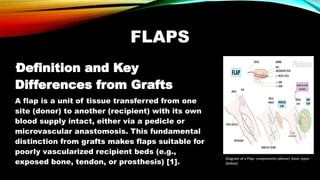Grafts and Flaps Group 2 Seminar Presentation-2.pptx