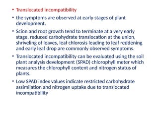 Translocated Incompatibility GRAFT SCION RELATIONSHIP.pptx about plant | PPTX