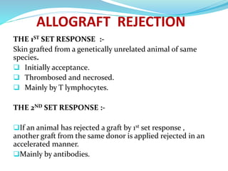 THE 1ST SET RESPONSE ::-
Skin grafted from a genetically unrelated animal of same
species.
 Initially acceptance.
 Thrombosed and necrosed.
 Mainly by T lymphocytes.
THE 2ND SET RESPONSE :-
If an animal has rejected a graft by 1st set response ,
another graft from the same donor is applied rejected in an
accelerated manner.
Mainly by antibodies.
 