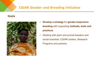 Design elements for gender-responsive breeding