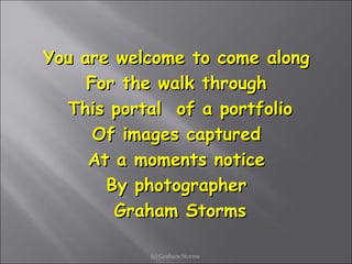 You are welcome to come along  For the walk through  This portal  of a portfolio Of images captured  At a moments notice  By photographer  Graham Storms (c) Graham Storms  