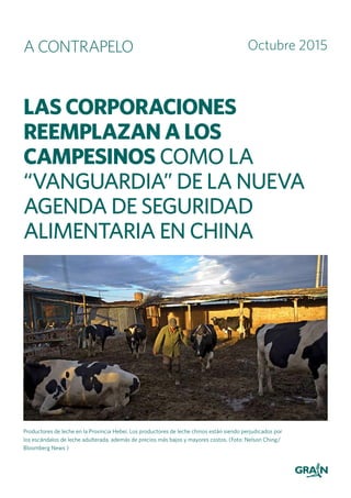 Las corporaciones
reemplazan a los
campesinos como la
“vanguardia” de la nueva
agenda de seguridad
alimentaria en China
Productores de leche en la Provincia Hebei. Los productores de leche chinos están siendo perjudicados por
los escándalos de leche adulterada, además de precios más bajos y mayores costos. (Foto: Nelson Ching/
Bloomberg News )
Octubre 2015A CONTRAPELO
 