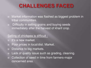 Grain cash seed bank