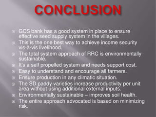 Grain cash seed bank