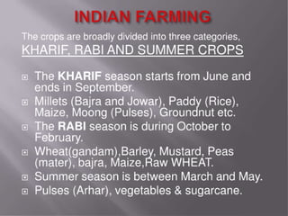 Grain cash seed bank