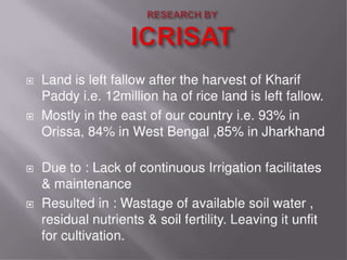 Grain cash seed bank