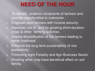 Grain cash seed bank