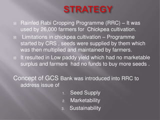 Grain cash seed bank