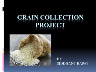 GRAIN COLLECTION
PROJECT
BY
SIDDHANT BAPAT
 